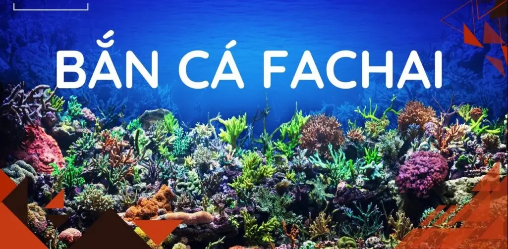 ban ca fachai 789bet 6827578134c30