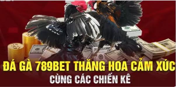 ca cuoc da ga cua sat 789bet 68275c37d953f