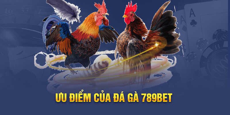 Khám Phá Thế Giới Cá Cược Đá Gà Cựa Sắt 789BET - Trải Nghiệm Không Thể Bỏ Lỡ