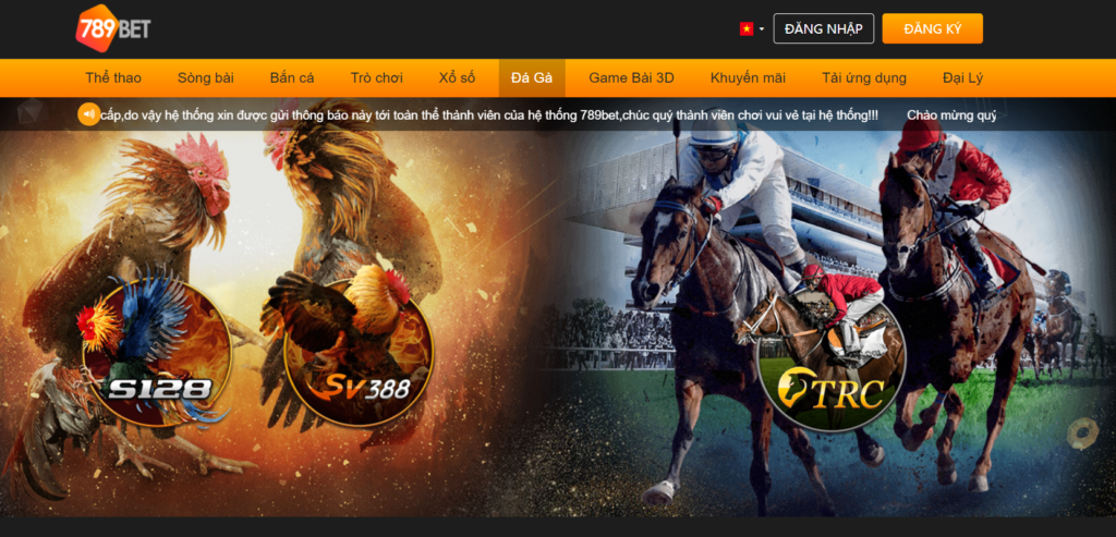 Trải Nghiệm Đá Gà Trực Tiếp C4 789BET - Sân Chơi Thú Vị Cho Những Người Yêu Thích Cá Cược