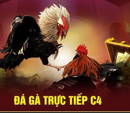 Trải Nghiệm Đá Gà Trực Tiếp C4 789BET - Sân Chơi Thú Vị Cho Những Người Yêu Thích Cá Cược