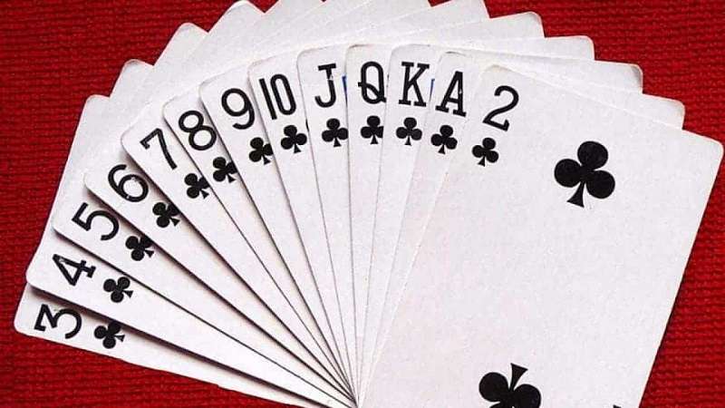 Trải nghiệm thú vị với Tiến lên miền nam 789BET - Game bài không thể bỏ lỡ